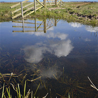 Buy canvas prints of Upton Marshes by Stephen Mole