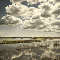 Buy canvas prints of River Thurne and Upton Marshes by Stephen Mole