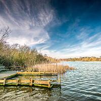 Buy canvas prints of South Walsham Broad from Fairhaven by Stephen Mole