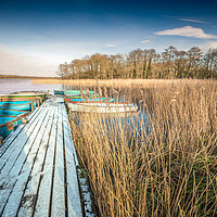 Buy canvas prints of Frozen Filby Broad by Stephen Mole
