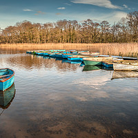 Buy canvas prints of Dinghies at Filby Broad by Stephen Mole