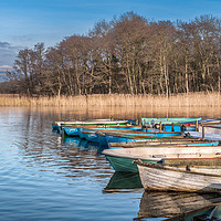 Buy canvas prints of Filby Broad and Boats by Stephen Mole