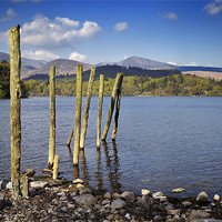 Buy canvas prints of Old wooden poles on Derwent Water by Stephen Mole