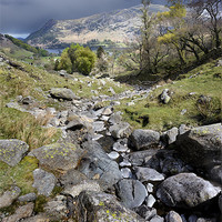 Buy canvas prints of A stream down the valley by Stephen Mole