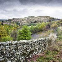 Buy canvas prints of Dry Stone Wall by Stephen Mole