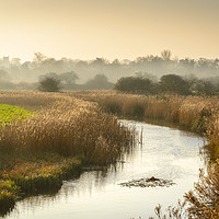 Buy canvas prints of Misty Morning at Cley by Stephen Mole