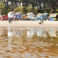 Buy canvas prints of Reflections on the beach by Stephen Mole