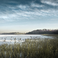 Buy canvas prints of Ormesby Broad under snow and ice by Stephen Mole