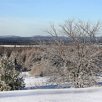 Buy canvas prints of Winter in Maine by Jean Scott
