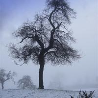 Buy canvas prints of A Derbyshire winter scene by Pete Holloway