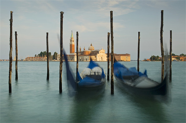 San Giorgio in Evening Light Picture Board by James Rowland