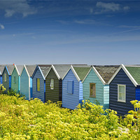 Buy canvas prints of Beach huts in Springtime by James Rowland