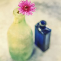 Buy canvas prints of Flower and Old Bottles by James Rowland