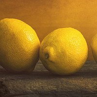 Buy canvas prints of  Four Lemons by James Rowland