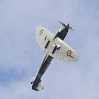 Buy canvas prints of The Grace Spitfire by James Rowland