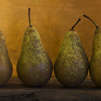 Buy canvas prints of The Four Pears by James Rowland