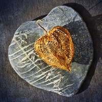 Buy canvas prints of  Heart Stone by James Rowland