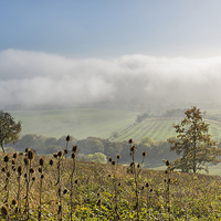 Buy canvas prints of  Foggy View from Holly Hill by James Rowland