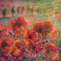 Buy canvas prints of  Remembrance by James Rowland