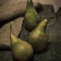 Buy canvas prints of The Three Pears by James Rowland