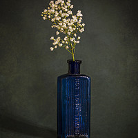 Buy canvas prints of Blue Bottle with White Flowers by James Rowland