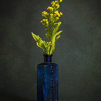 Buy canvas prints of A Bottle with Flower by James Rowland