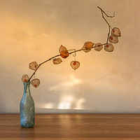 Buy canvas prints of Physalis in a Bottle by James Rowland