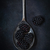 Buy canvas prints of Blackberries by James Rowland