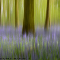 Buy canvas prints of Bluebell Abstract by Martin Appleby