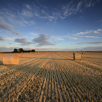 Buy canvas prints of Hay Bales by Martin Appleby