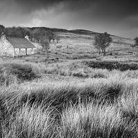 Buy canvas prints of Greshornish Cottage by Martin Appleby