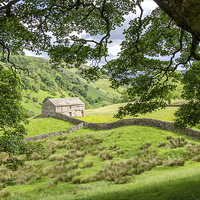 Buy canvas prints of Swaledale Barn by Martin Appleby