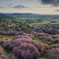 Buy canvas prints of  Purple Summer by Martin Appleby