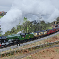 Buy canvas prints of 60103. The Flying Scotsman atDarholme. by Martin Appleby