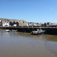 Buy canvas prints of  Harbour Low Tide by Adrian Shead
