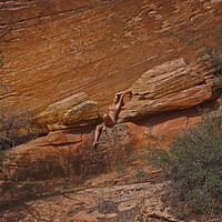 Buy canvas prints of Nude in the Canyon by Amy Rogers