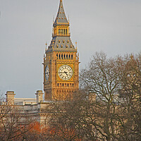 Buy canvas prints of Big Ben by Amy Rogers