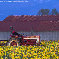Buy canvas prints of Working Fields of Color by Mike Dawson