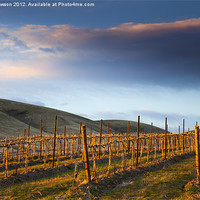 Buy canvas prints of Vineyard Storm by Mike Dawson