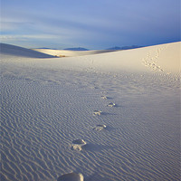 Buy canvas prints of Footprints by Mike Dawson