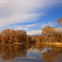 Buy canvas prints of Bosque Del Apache Reflections by Mike Dawson