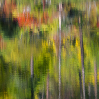 Buy canvas prints of Autumn Impressions by Mike Dawson