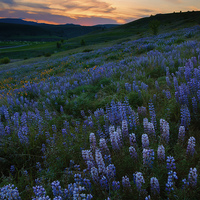 Buy canvas prints of Kittitas Valley Spring by Mike Dawson