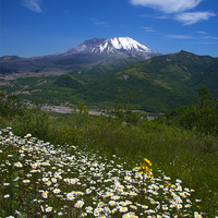 Buy canvas prints of Mt. St. Helens View by Mike Dawson