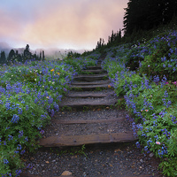 Buy canvas prints of Stairway to the Heavens by Mike Dawson