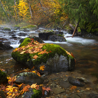 Buy canvas prints of Autumn Stream by Mike Dawson