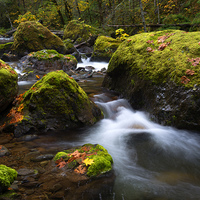 Buy canvas prints of Autumn Stones by Mike Dawson