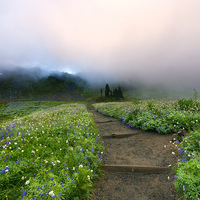 Buy canvas prints of Beneath the Heavens by Mike Dawson