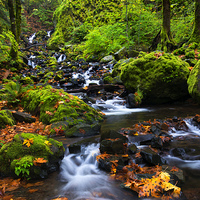 Buy canvas prints of Starvation Creek Color by Mike Dawson