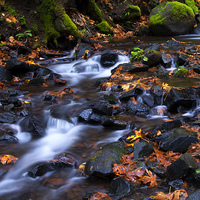 Buy canvas prints of Autumn Meander by Mike Dawson